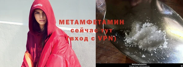 гидра Богданович