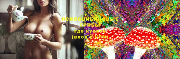 бошки Бородино