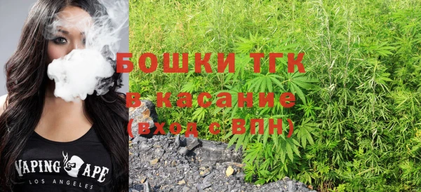бошки Бородино