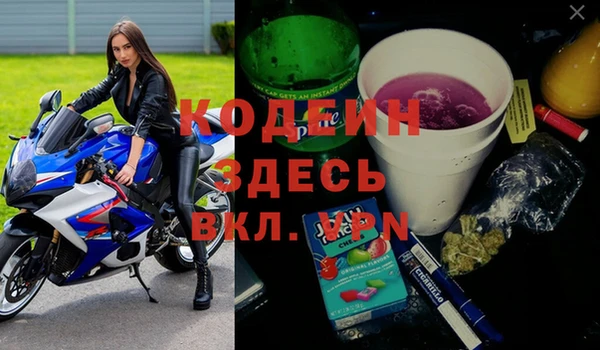 бошки Бородино