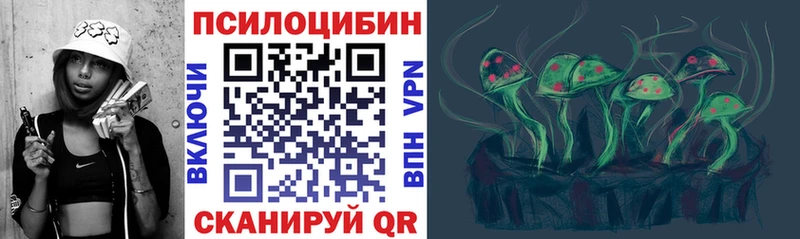 Галлюциногенные грибы Psilocybine cubensis  Купить закладки  Михайловск 